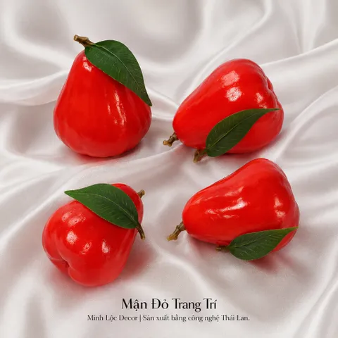 Trái Mận Đỏ trang trí | Trái Cây Nhựa foam, Trái Cây trang trí, Trái Cây Mô Hình