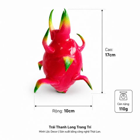 Trái Thanh Long trang trí Cao cấp | Trái Cây Nhựa foam, Trái Cây trang trí, Trái Cây Mô Hình