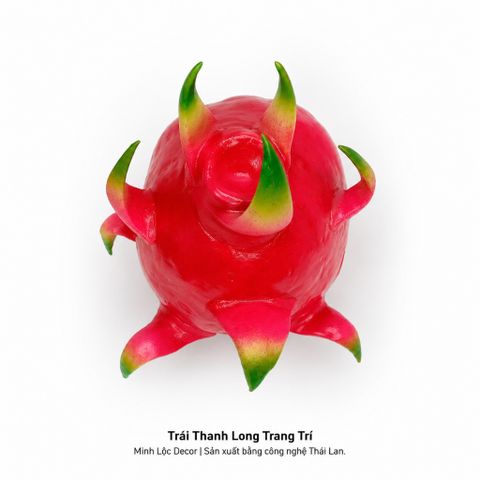 Trái Thanh Long trang trí Cao cấp | Trái Cây Nhựa foam, Trái Cây trang trí, Trái Cây Mô Hình