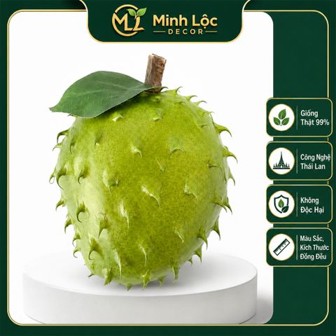Trái Mãng Cầu Gai Tròn trang trí Cao cấp | Trái Cây Nhựa foam, Trái Cây trang trí, Trái Cây Mô Hình