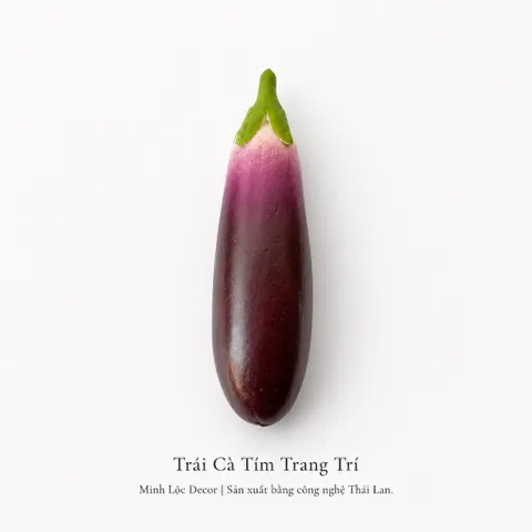 Trái Cà Tím trang trí | Trái Cây Nhựa foam, Trái Cây trang trí, Trái Cây Mô Hình