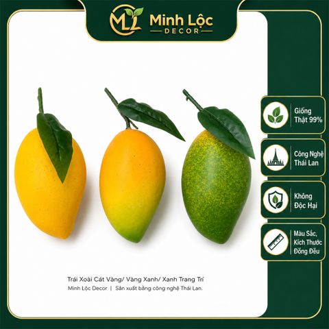 Trái Xoài Cát Vàng/ Vành Xanh/ Xanh trang trí Cao cấp | Trái Cây Nhựa foam, Trái Cây trang trí, Trái Cây Mô Hình
