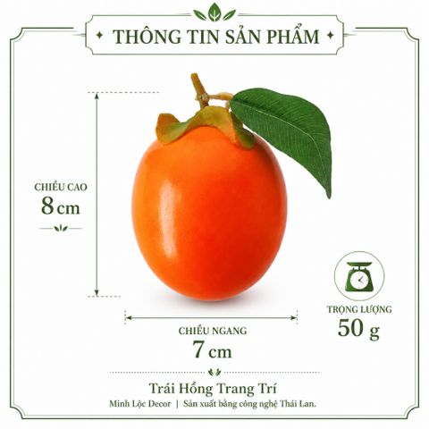 Trái Hồng trang trí | Trái Cây Nhựa foam, Trái Cây trang trí, Trái Cây Mô Hình