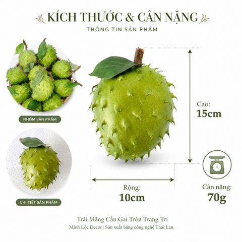 Trái Mãng Cầu Gai Tròn trang trí Cao cấp | Trái Cây Nhựa foam, Trái Cây trang trí, Trái Cây Mô Hình