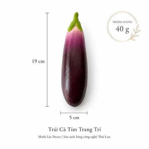 Trái Cà Tím trang trí | Trái Cây Nhựa foam, Trái Cây trang trí, Trái Cây Mô Hình