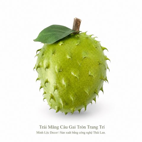 Trái Mãng Cầu Gai Tròn trang trí Cao cấp | Trái Cây Nhựa foam, Trái Cây trang trí, Trái Cây Mô Hình