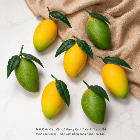 Trái Xoài Cát Vàng/ Vành Xanh/ Xanh trang trí Cao cấp | Trái Cây Nhựa foam, Trái Cây trang trí, Trái Cây Mô Hình