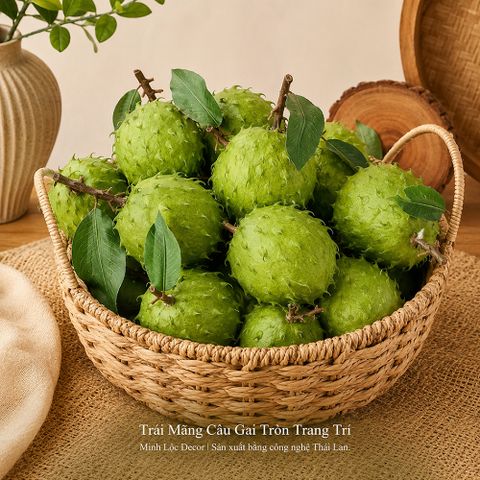 Trái Mãng Cầu Gai Tròn trang trí Cao cấp | Trái Cây Nhựa foam, Trái Cây trang trí, Trái Cây Mô Hình