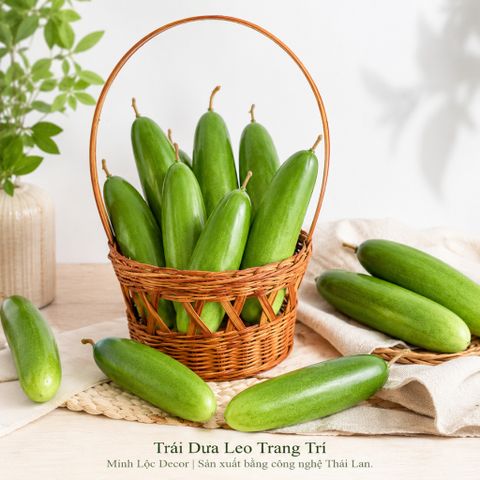 Trái Dưa Leo trang trí | Trái Cây Nhựa foam, Trái Cây trang trí, Trái Cây Mô Hình