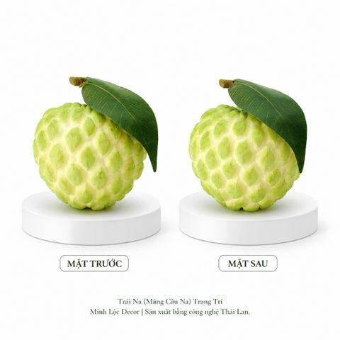 Trái Na (Mãng Cầu Na) | Trái Cây Nhựa foam, Trái Cây trang trí, Trái Cây Mô Hình