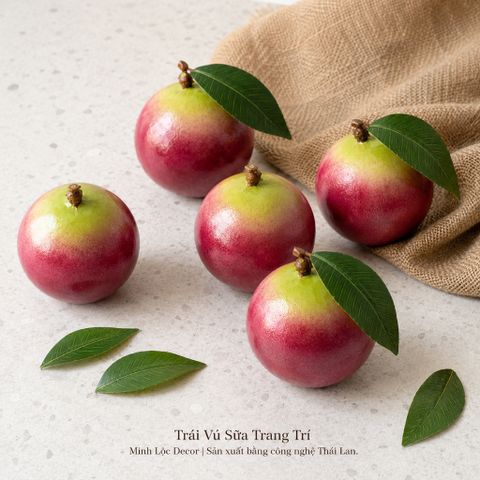 Trái Vú Sữa trang trí | Trái Cây Nhựa foam, Trái Cây trang trí, Trái Cây Mô Hình