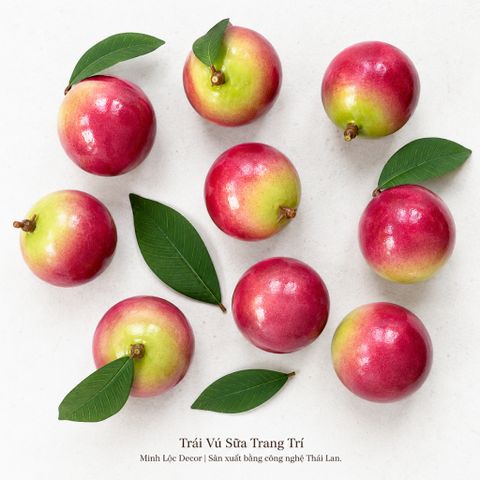 Trái Vú Sữa trang trí | Trái Cây Nhựa foam, Trái Cây trang trí, Trái Cây Mô Hình