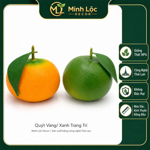 Trái Quýt Xanh/ Vàng trang trí | Trái Cây Nhựa foam, Trái Cây trang trí, Trái Cây Mô Hình