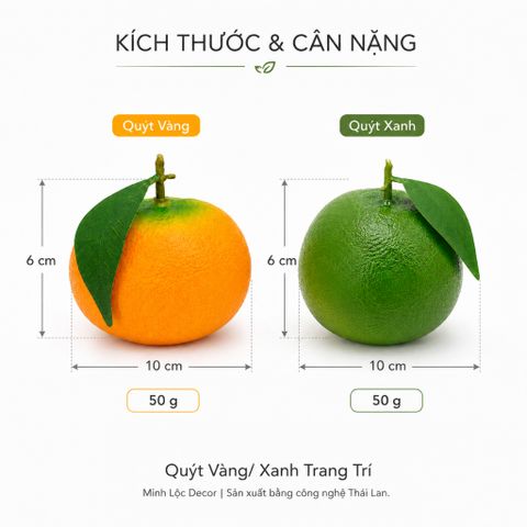 Trái Quýt Xanh/ Vàng trang trí | Trái Cây Nhựa foam, Trái Cây trang trí, Trái Cây Mô Hình
