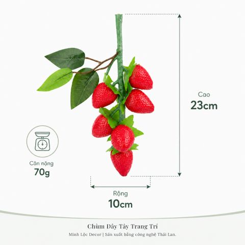 Chùm Dây Tây 6 trái/ chùm | Trái Cây Nhựa foam, Trái Cây trang trí, Trái Cây Mô Hình
