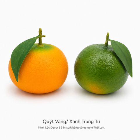 Trái Quýt Xanh/ Vàng trang trí | Trái Cây Nhựa foam, Trái Cây trang trí, Trái Cây Mô Hình