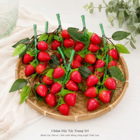 Chùm Dây Tây 6 trái/ chùm | Trái Cây Nhựa foam, Trái Cây trang trí, Trái Cây Mô Hình