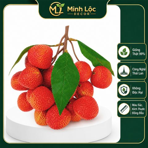 Chùm Trái Vải trang trí (15 trái/ chùm) | Trái Cây Nhựa foam, Trái Cây trang trí, Trái Cây Mô Hình