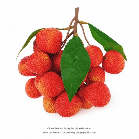 Chùm Trái Vải trang trí (15 trái/ chùm) | Trái Cây Nhựa foam, Trái Cây trang trí, Trái Cây Mô Hình