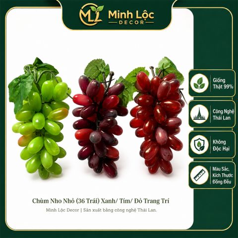 Chùm Nho Nhỏ Xanh/ Tím/ Đỏ (36 trái) trang trí | Trái Cây Nhựa foam, Trái Cây trang trí, Trái Cây Mô Hình