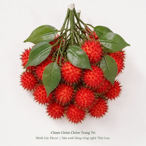 Chùm Chôm Chôm 5 trái/ chùm trang trí Cao cấp | Trái Cây Nhựa foam, Trái Cây trang trí, Trái Cây Mô Hình