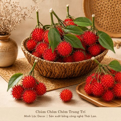 Chùm Chôm Chôm 5 trái/ chùm trang trí Cao cấp | Trái Cây Nhựa foam, Trái Cây trang trí, Trái Cây Mô Hình