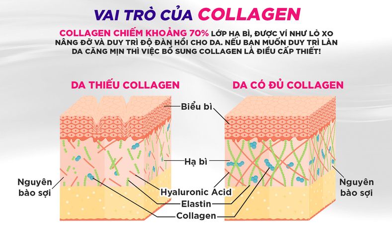 Collagen nước DHC 7000mg 10 lọ chính hãng Nhật Bản đẹp da ngừa thâm nám