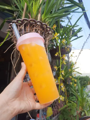 Bột cam Tang Orange Naranja 566g của Mỹ