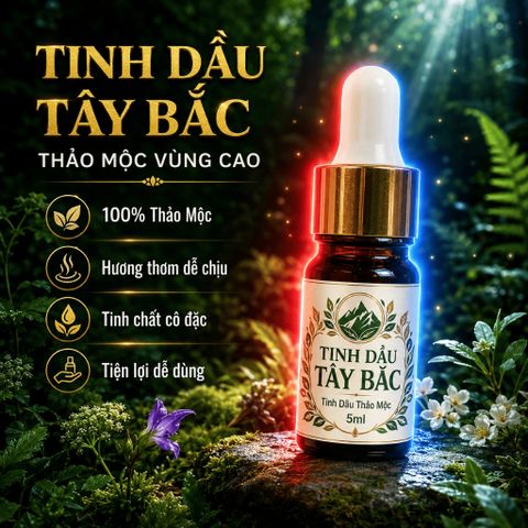 Tinh Dầu Tây Bắc Lọ Serum Cao Cấp Tiện Lợi Dễ Sử Dụng Giá Siêu ƯU ĐÃI 773176