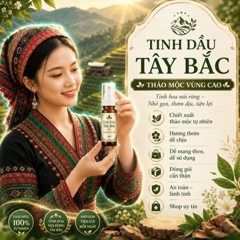 Tinh Dầu Tây Bắc Cô Đặc Từ Thiên Nhiên Siêu Sale Bán Chạy TOP 1 773175