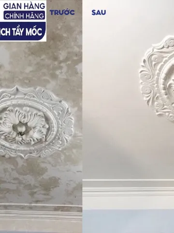 SMART TM - Dung dịch tẩy mốc Smart an toànl àm sạch mốc tường, doăng cao su, chăn gối, quần áo trắng