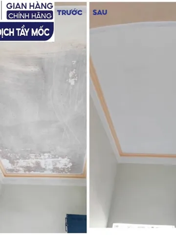 SMART TM - Dung dịch tẩy mốc Smart an toànl àm sạch mốc tường, doăng cao su, chăn gối, quần áo trắng