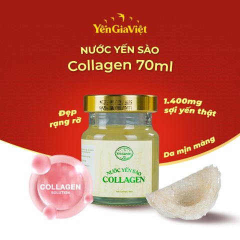 Nước yến sào Collagen Yến Gia Việt 70ml