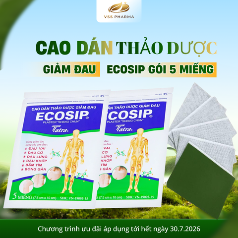 (HÀNG TẶNG KHÔNG BÁN) Cao dán thảo dược ECOSIP gói 5 miếng