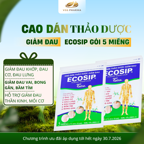 (HÀNG TẶNG KHÔNG BÁN) Cao dán thảo dược ECOSIP gói 5 miếng