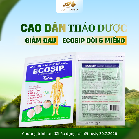 (HÀNG TẶNG KHÔNG BÁN) Cao dán thảo dược ECOSIP gói 5 miếng