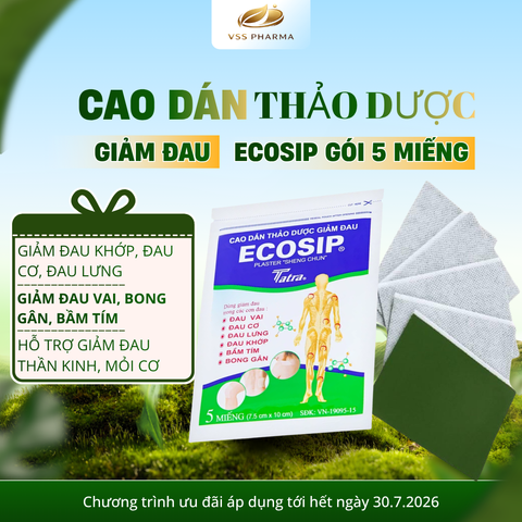 (HÀNG TẶNG KHÔNG BÁN) Cao dán thảo dược ECOSIP gói 5 miếng