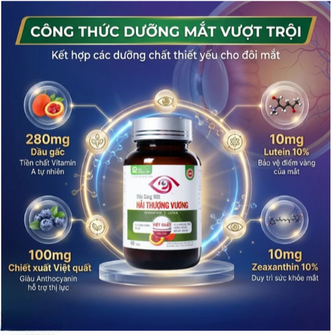 Viên uống hỗ trợ tăng cường thị lực Viên Sáng Mắt Hải Thượng Vương (60 viên)