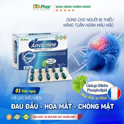 Viên uống bổ não Anvicoline | Hỗ trợ tăng cường trí nhớ, giảm đau đầu | Lưu thông máu | DTAPhar 776745