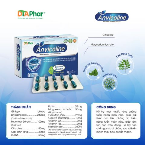 Viên uống bổ não Anvicoline | Hỗ trợ tăng cường trí nhớ, giảm đau đầu | Lưu thông máu | DTAPhar 776745