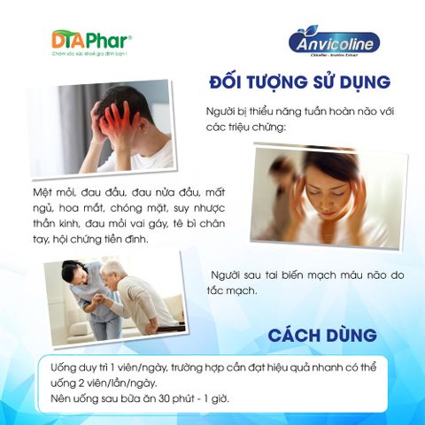 Viên uống bổ não Anvicoline | Hỗ trợ tăng cường trí nhớ, giảm đau đầu | Lưu thông máu | DTAPhar 776745