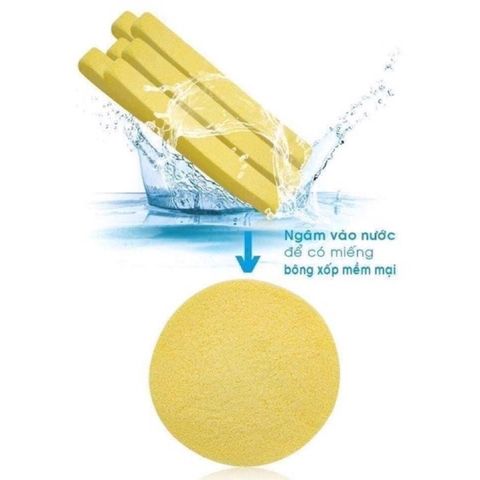 Combo 12 Bông làm từ bọt biển thiên nhiên nên thân thiện với làn da