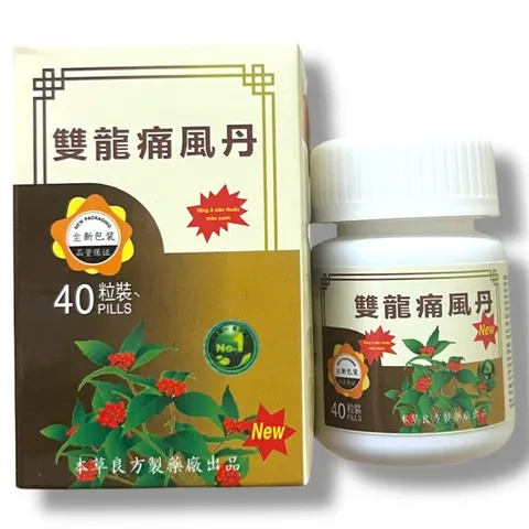 Viên uống đau nhức Xương Khớp Song long Thống phong đan – Giải Pháp Hỗ Trợ Giảm Đau Mỏi Cơ Khớp - Mã 1526