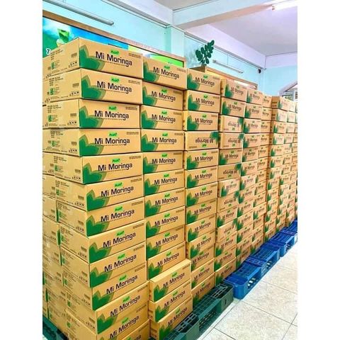Mì chùm ngây Moringa (chùm ngây) thùng 30 gói, mì sấy lạnh không chiên, chay mặn đều được