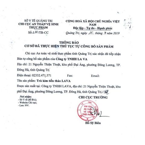 Trà Kim Tiền Thảo túi lọc Lava  Cho Người Sỏi Thận, Túi Mật, Sỏi Bàng Quang, Tiết Niệu
