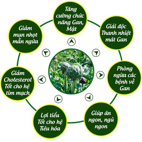 Cao Atiso Mềm hủ ngọt 200gr - Ngọc Duy