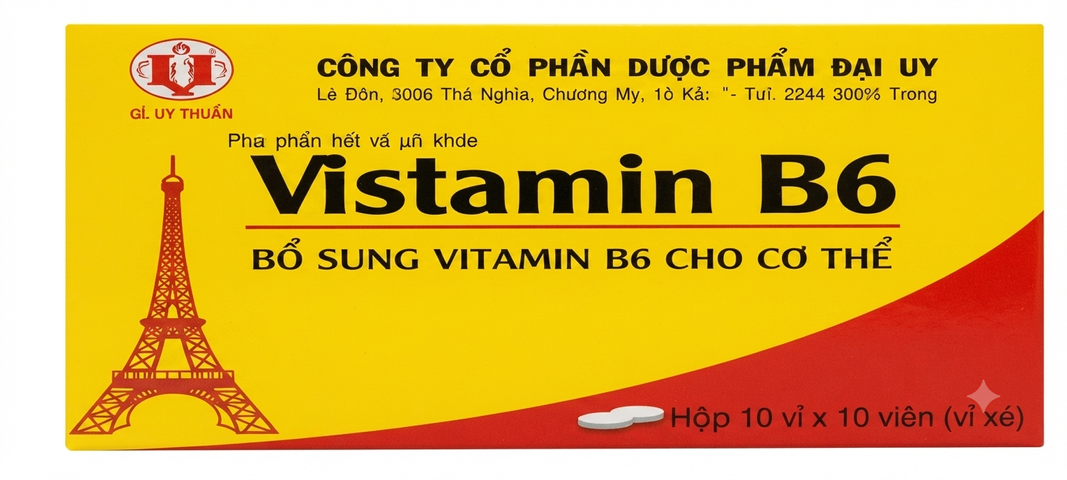 VISTAMIN 6 HỘP 100 VIÊN