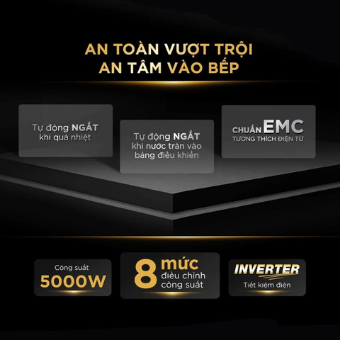Bếp từ đôi BlueStone ICB-6825