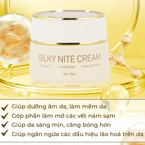 Kem Dưỡng Ban Đêm Silky Nite Cream Melaslab