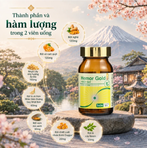 Viên uống hỗ trợ tốt cho người bị trĩ Hemor Gold Jpanwell (60 viên)